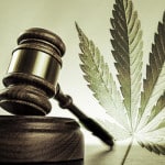 marijuana lawyer in nj