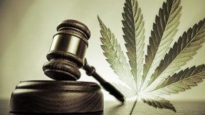 marijuana lawyer in new jersey