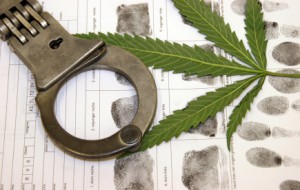 Marijuana Possession Defense Attorney NJSA 2C:35-10