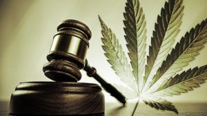 Marijuana Attorneys in New Jersey