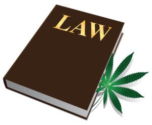 New Marijuana Rules in NJ